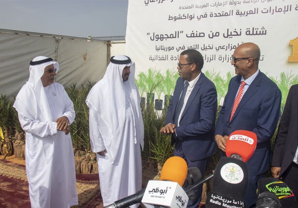 Plus de 1000 plants de palmiers dattiers offerts à la Mauritanie par les Emirats arabes unis