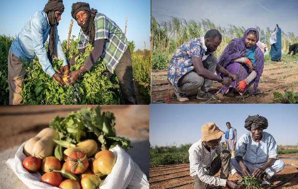Mauritanie : 13,5 millions € de l’UE pour encourager la consommation de produits locaux, sains et adaptés au climat