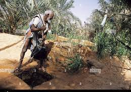 Adrar :  Les agriculteurs très mécontents des prestations du délégué régional de l’agriculture 