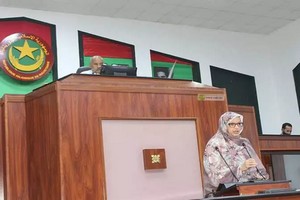 En Mauritanie, « les feux de brousse détruisent annuellement plus de 50.000 hectares de pâturages »