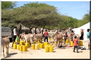 L’identité au service de l’inégalité à propos de l’esclavage en Mauritanie (Suite et fin)