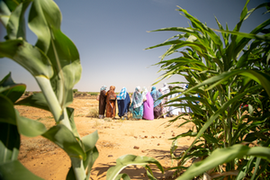 UECHO et le PAM renouvellent leur partenariat dans la lutte contre l’insécurité alimentaire en Mauritanie
