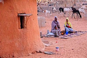 Mauritanie : 100 habitats précaires endommagés par les intempéries
