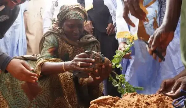 Pour lutter contre la désertification, la Mauritanie envisage de reboiser une superficie de 20.000 hectares 