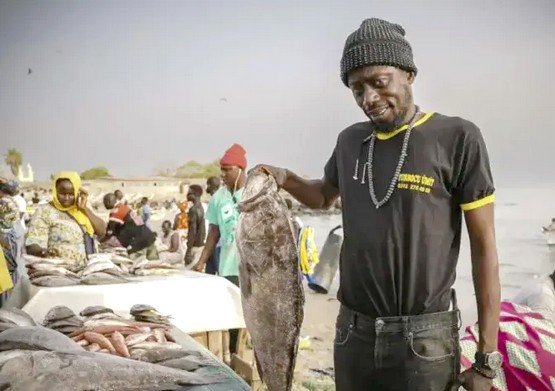 Mise en garde européenne au Sénégal à propos de la pêche illégale 