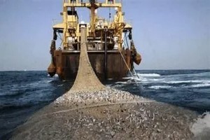 Afrique de l’Ouest : La gouvernance des pêches jugée alarmante