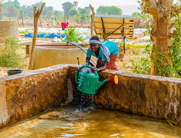 Projet PEAF au Guidimakha et au Trarza: Pérenniser les activités par les microcrédits