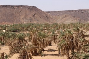 Vidéo. Les agriculteurs de Oued Seguelil se plaignent du manque d’eau et demandent de la transparence