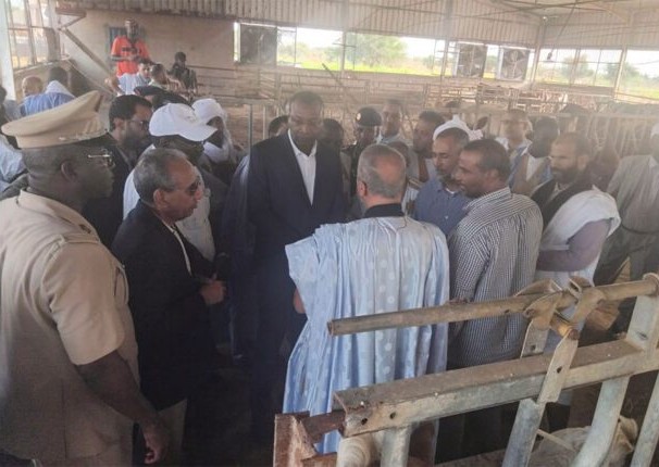 Le ministre de l’Elevage visite une usine laitière, une ferme d’élevage et de culture fourragère à Rosso